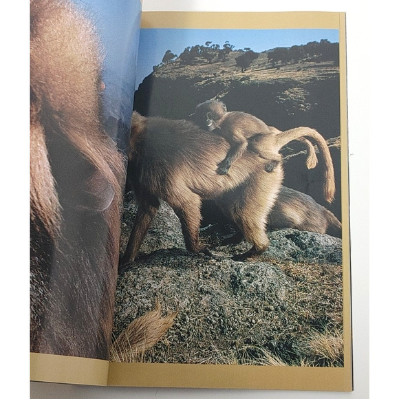 National Geographic Magazine November 2002 Unmasking Skin Weapons Mass Destruct - Picture 4 of 7